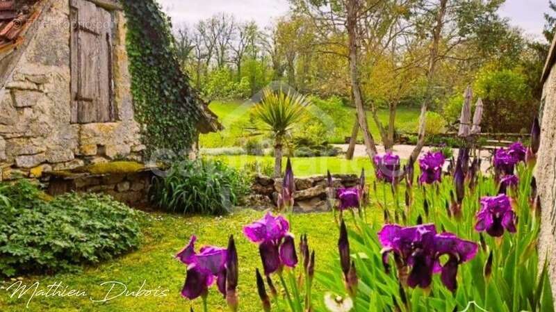 Élégance, rentabilité et art de vivre – Domaine touristique avec potentiel équestre aux portes de Padirac - photo 7
