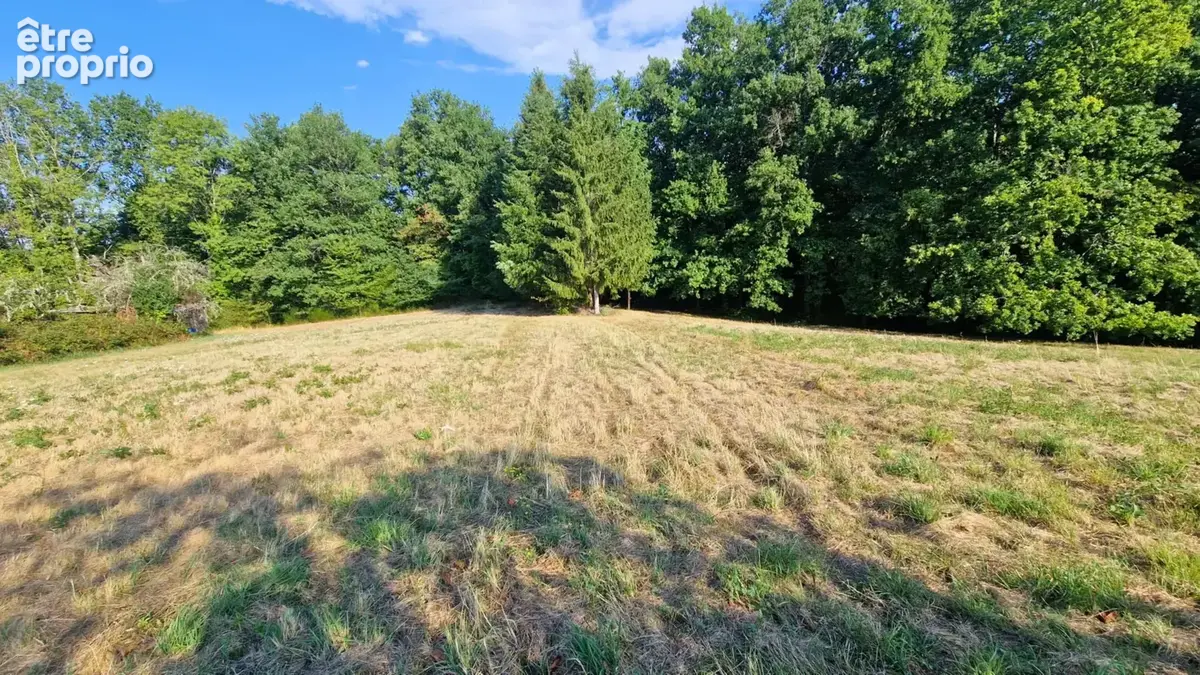 Maison de caractère avec dépendances et terrain constructible de 3 235 m2 - photo 8