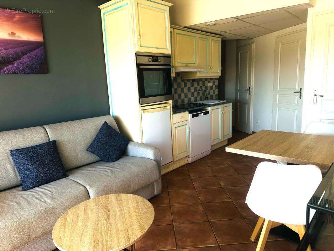Appartement à vendre 1 pièces GREOUX LES BAINS (04) - photo 5