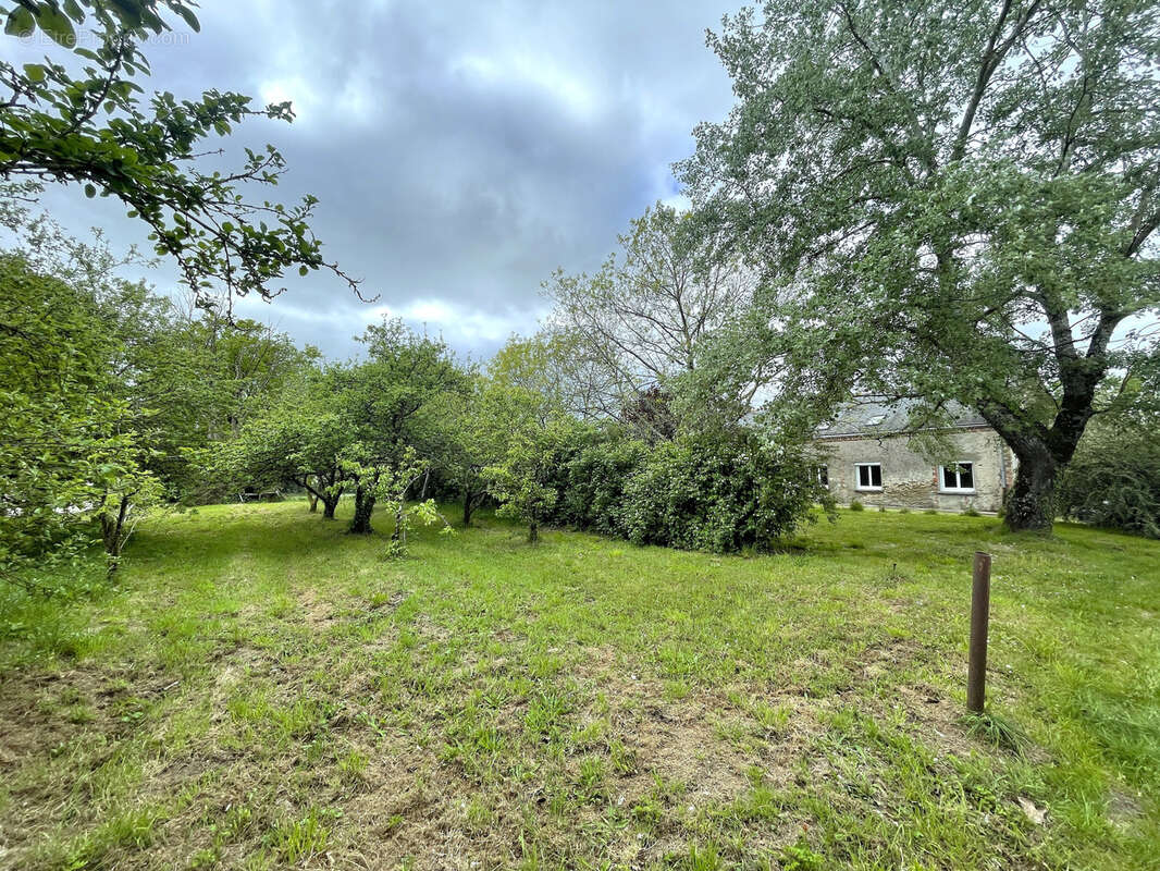 Maison à NORT-SUR-ERDRE