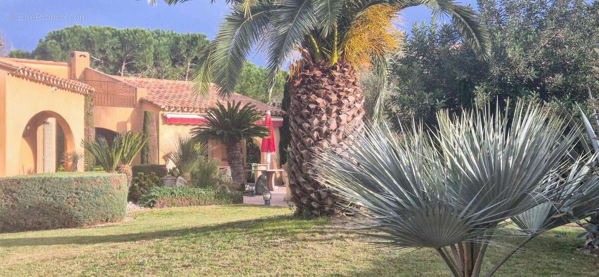 Maison à SAINT-CYPRIEN