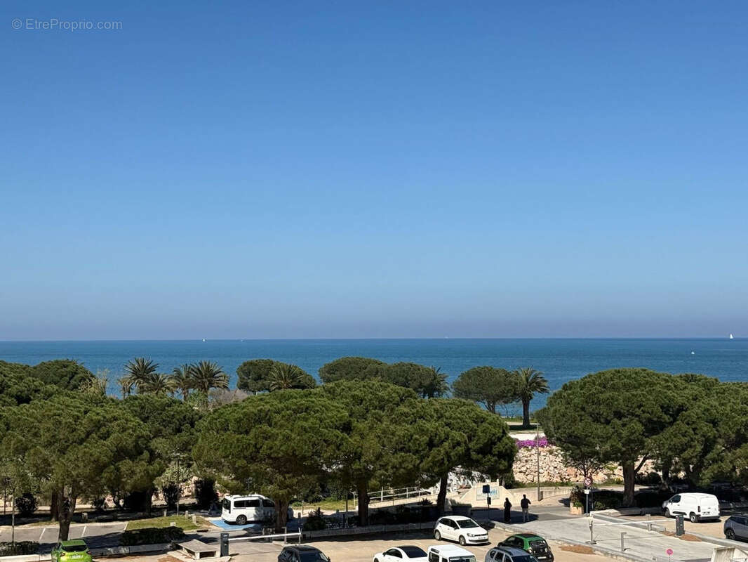 Photo 5 - Appartement à ARGELES-SUR-MER