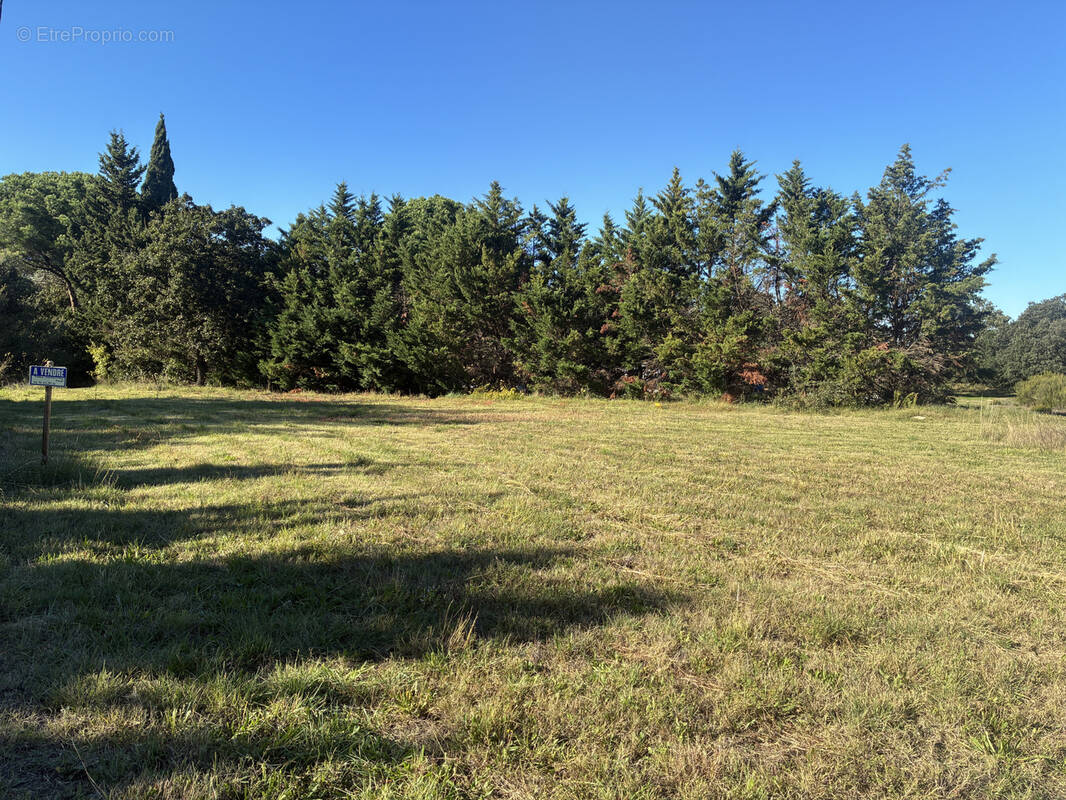 Terrain à LAROQUE-DES-ALBERES