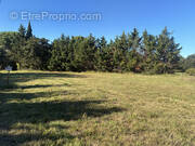 Terrain à LAROQUE-DES-ALBERES