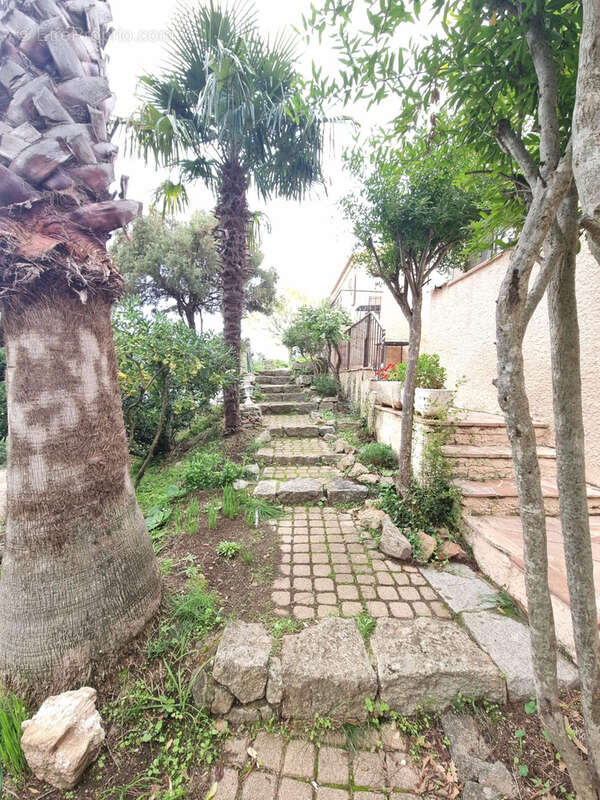 Appartement à SANTA-MARIA-FIGANIELLA