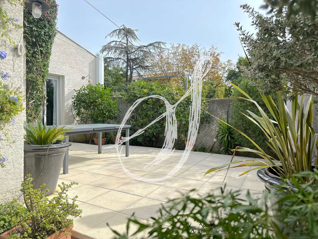 Maison à MONTPELLIER