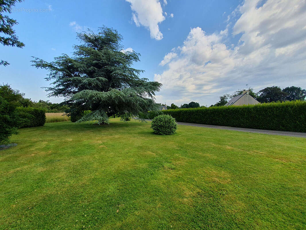 Maison à CLOHARS-FOUESNANT