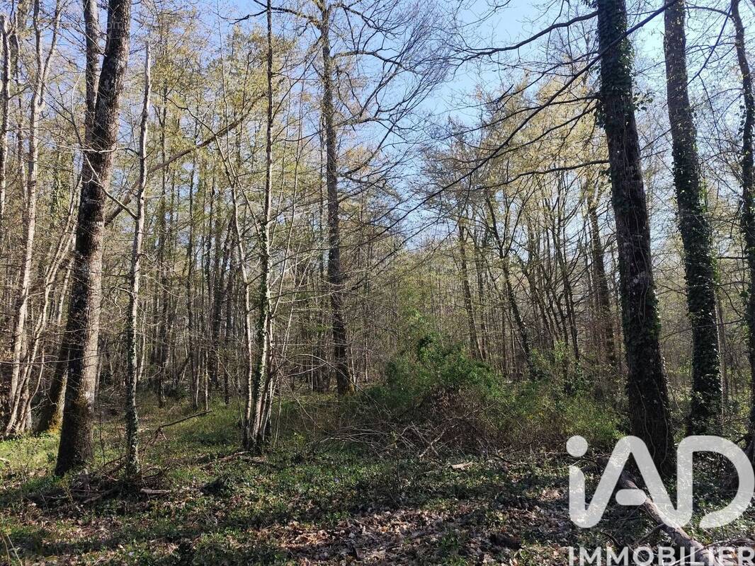 Photo 1 - Terrain à SURY-PRES-LERE