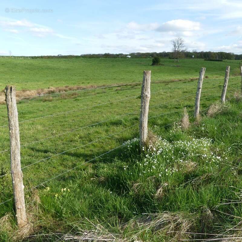 Terrain à SEMUR-EN-AUXOIS
