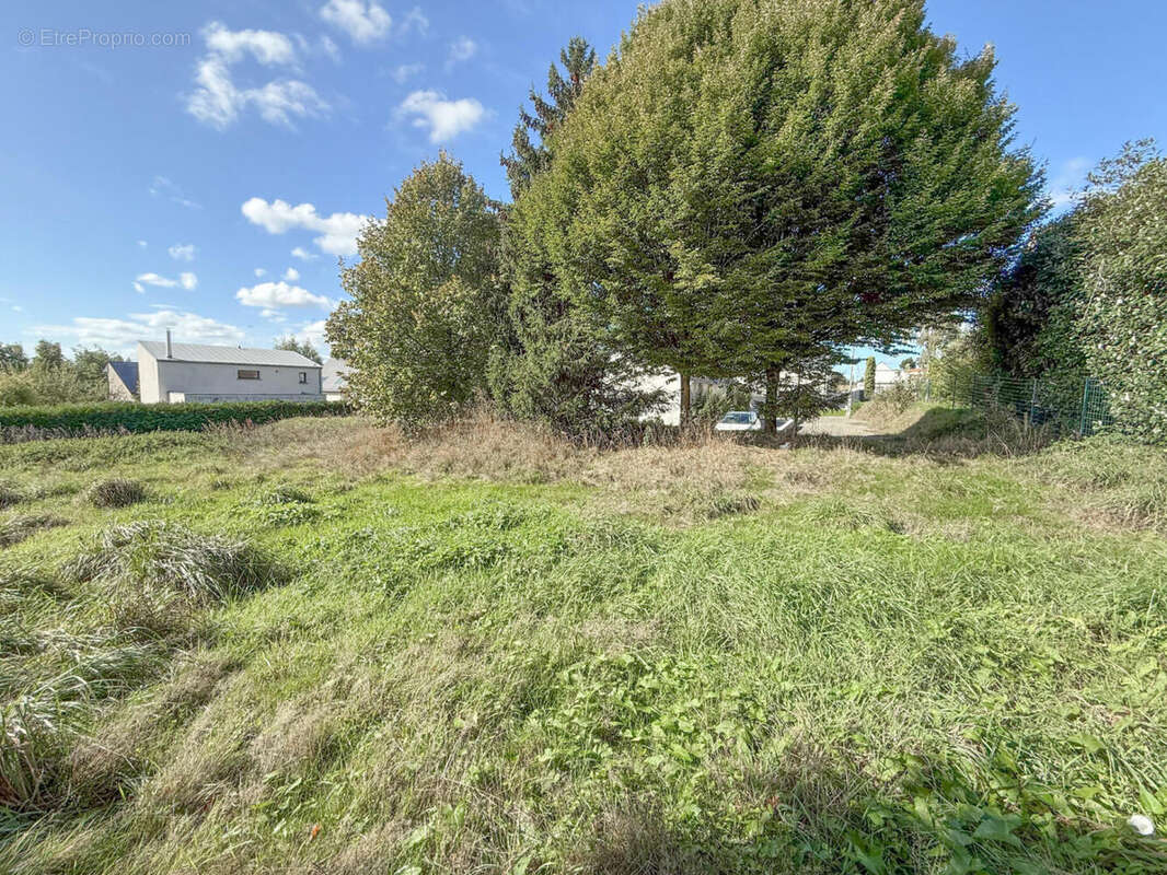 ROUX 3 - Terrain à MONTREUIL-LE-GAST