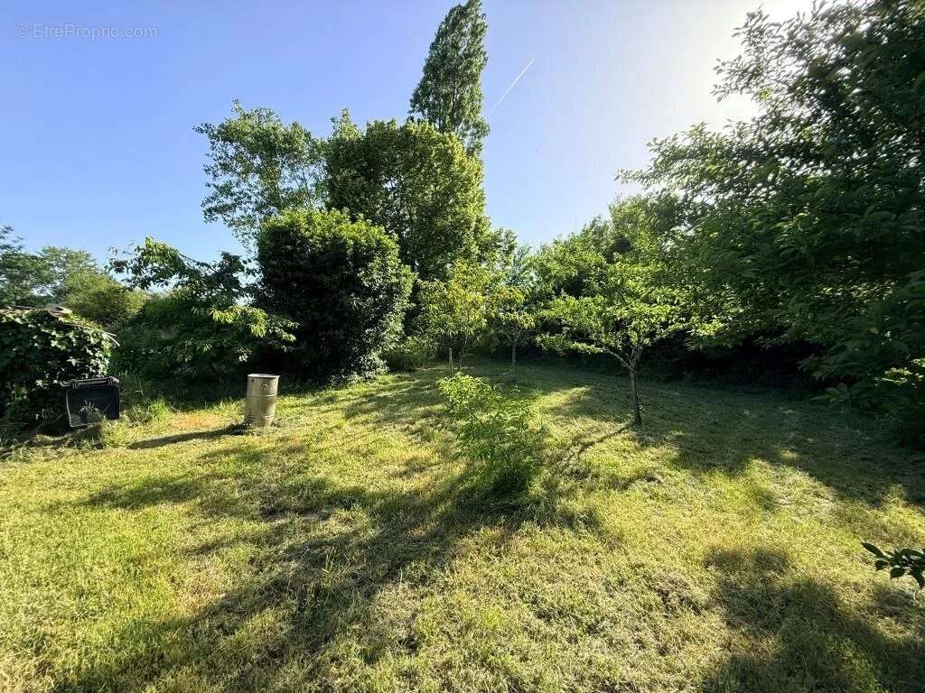 St christoly maison avec appartement sur + d'un hectare - photo 16