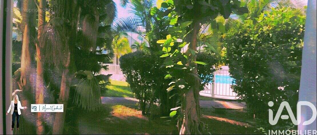 Photo 2 - Appartement à SAINT-MARTIN