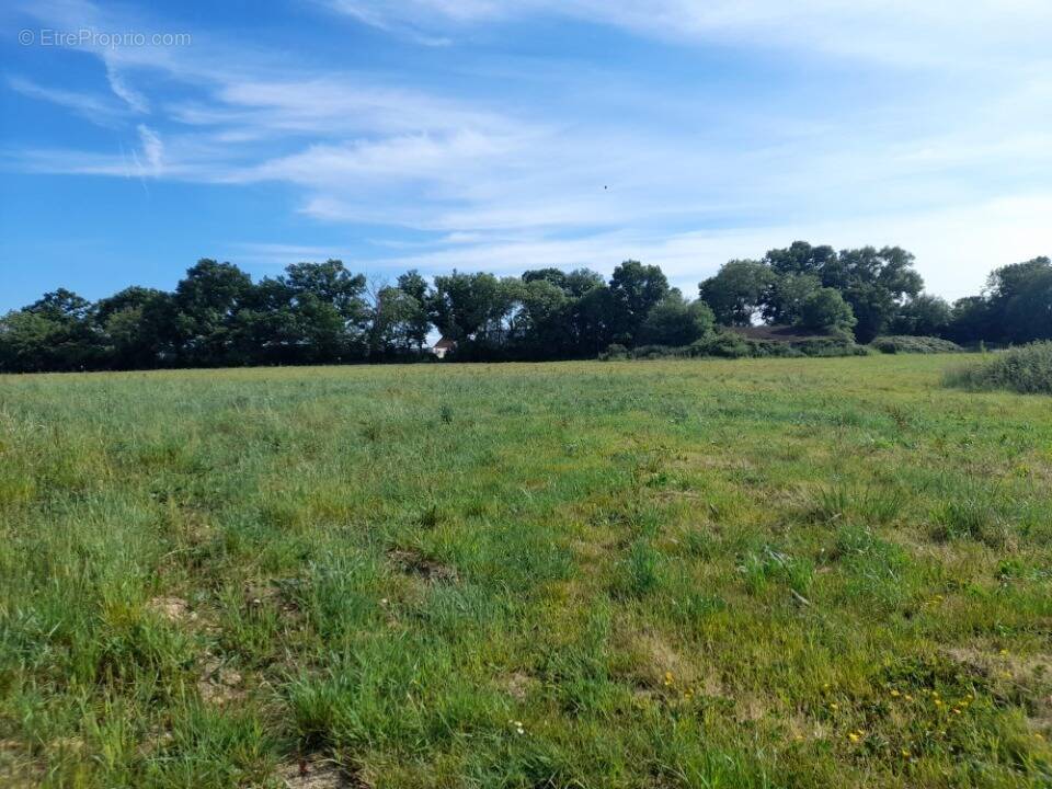 Terrain à PONT-L'EVEQUE