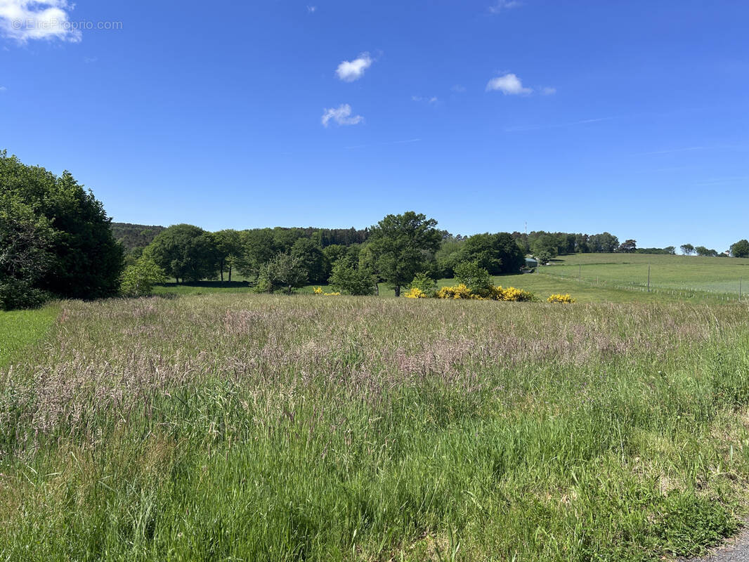 Terrain à MERCOEUR