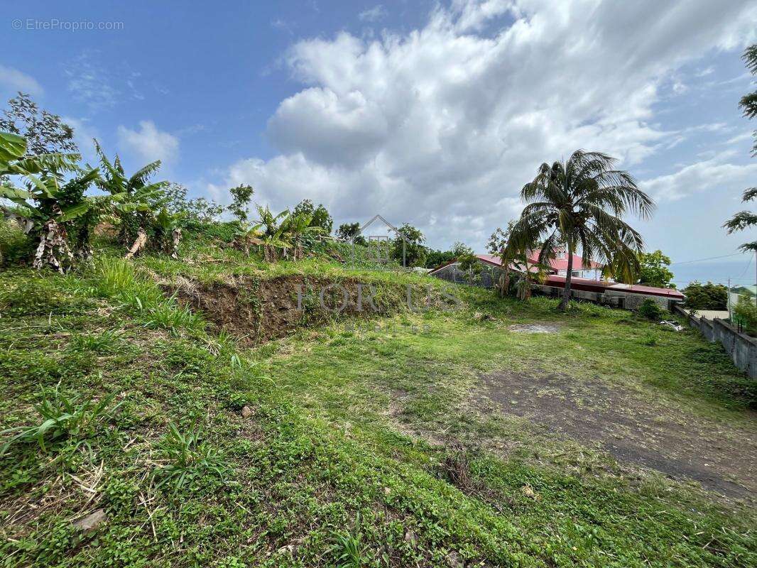 A VENDRED : Terrain 545m² GOURBEYRE (97113) - photo 6