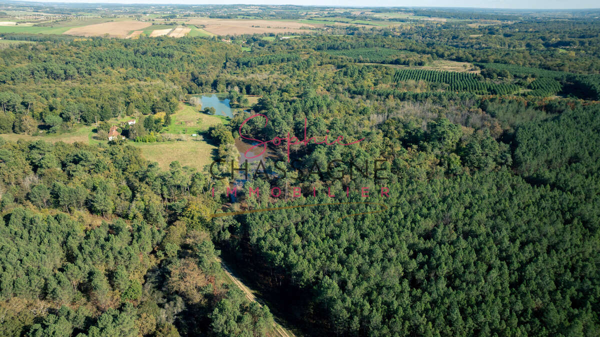 A 20 minutes de Chalais, sur plus de 32 hectares dont 8 hectares de pins, à 600 m du voisin le plus proche, - photo 4