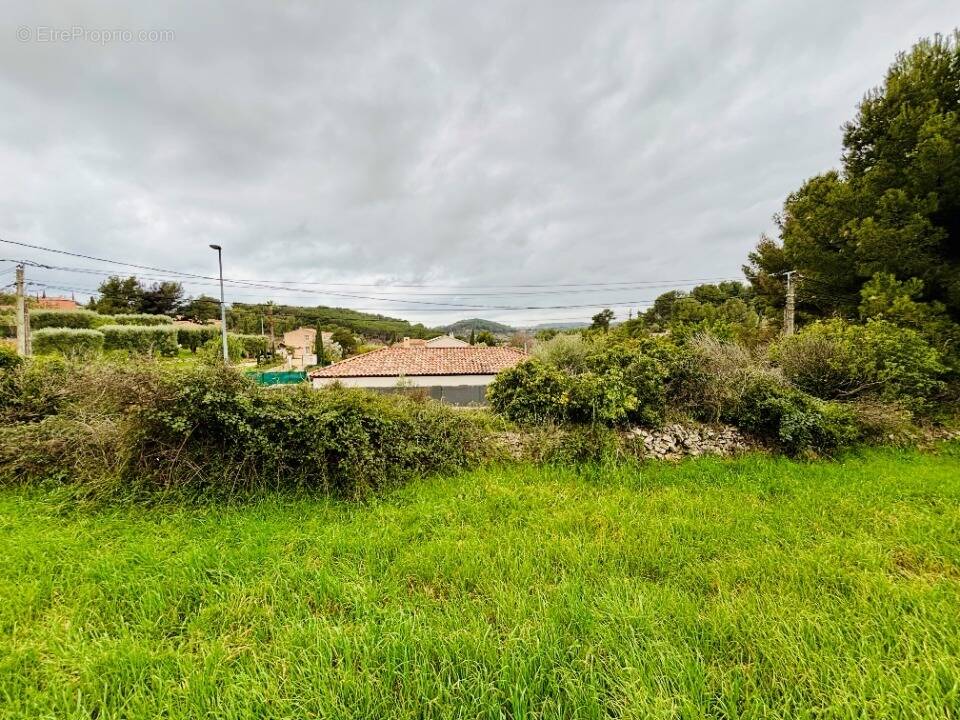 Terrain à OLLIOULES