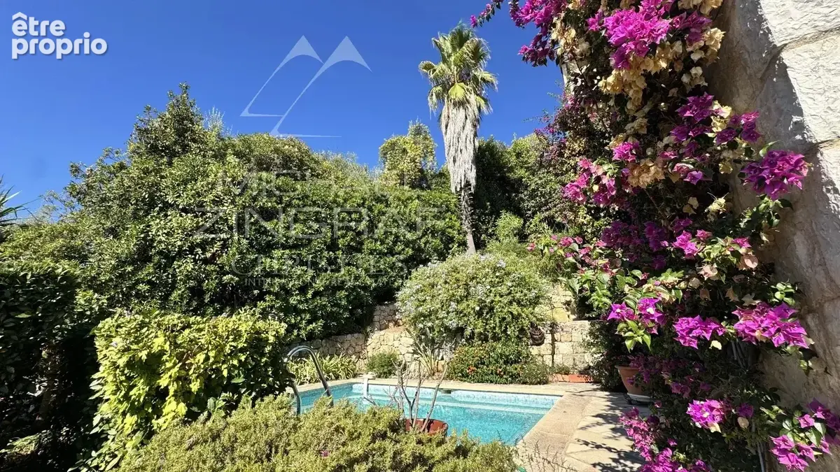 Villa d'architecte avec vue mer et oliveraie - photo 2