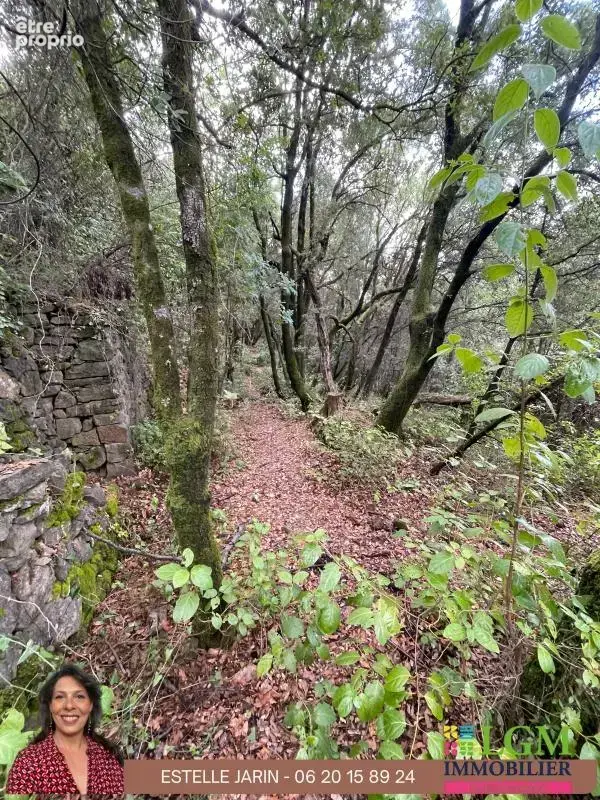 Mas 3 pièces à rénover - photo 22