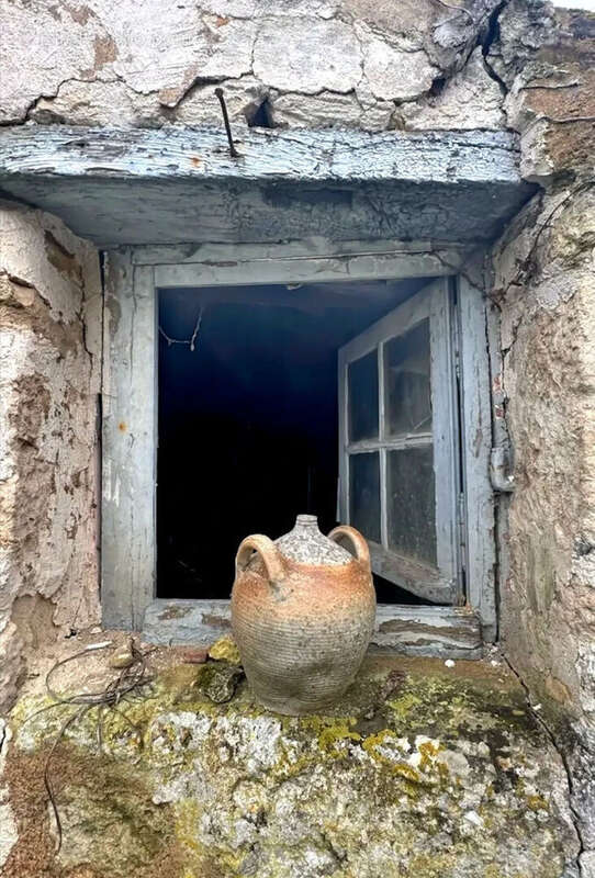 Maison à LE POIRE-SUR-VELLUIRE