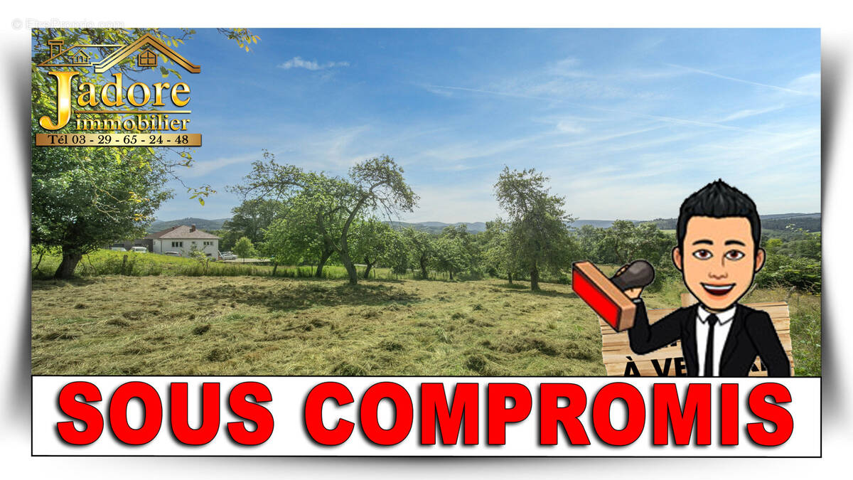 Terrain à SAINT-DIE-DES-VOSGES