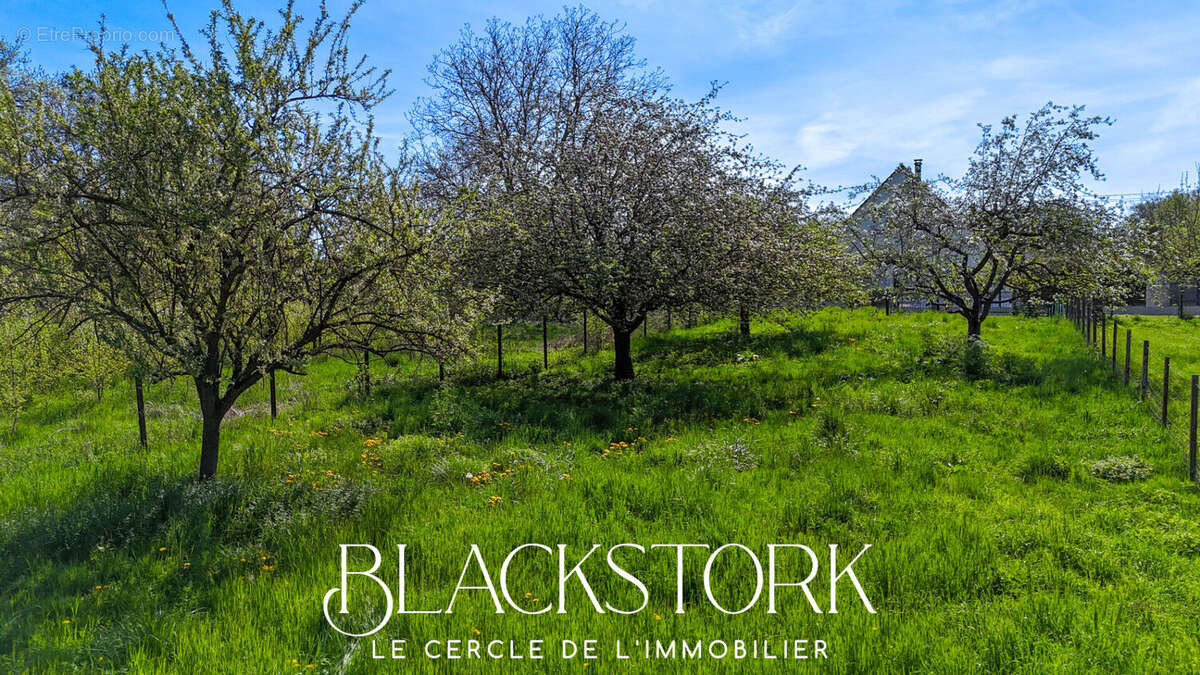 Terrain à BOUXWILLER