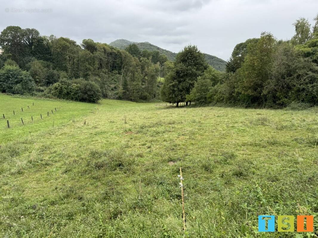 Terrain à ESTADENS