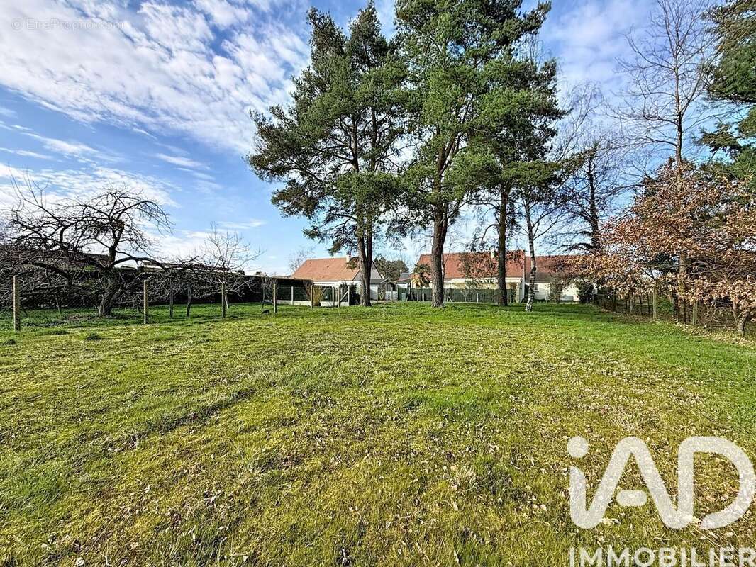 Photo 6 - Terrain à LES MONTILS