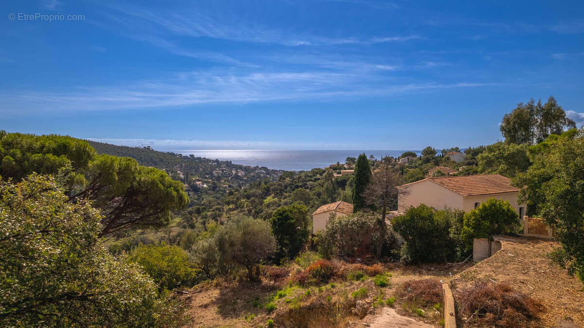 Terrain à ROQUEBRUNE-SUR-ARGENS