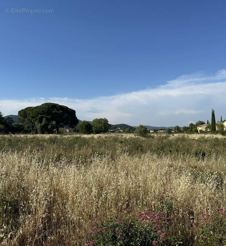 Terrain à CUERS