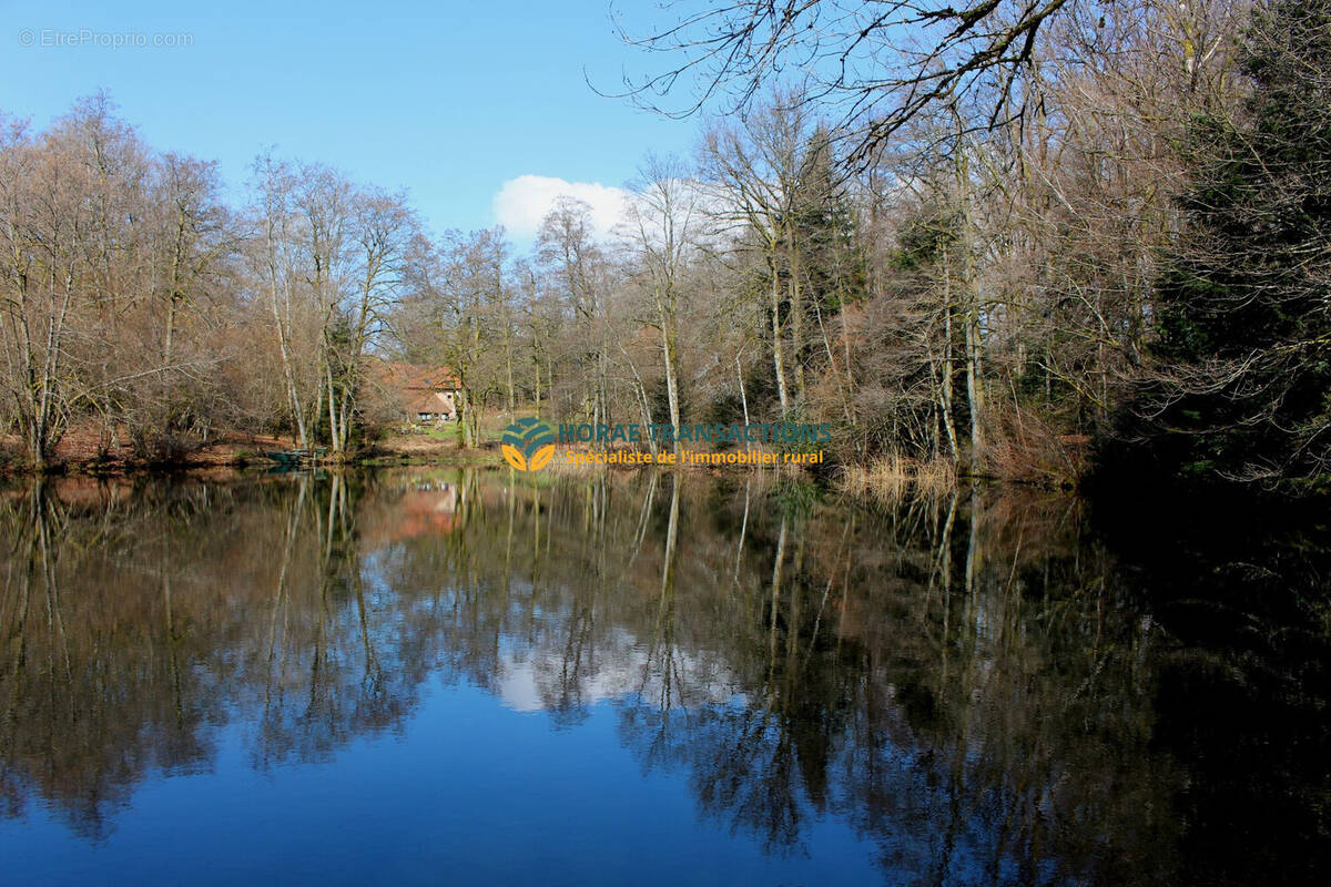 Maison à LUXEUIL-LES-BAINS