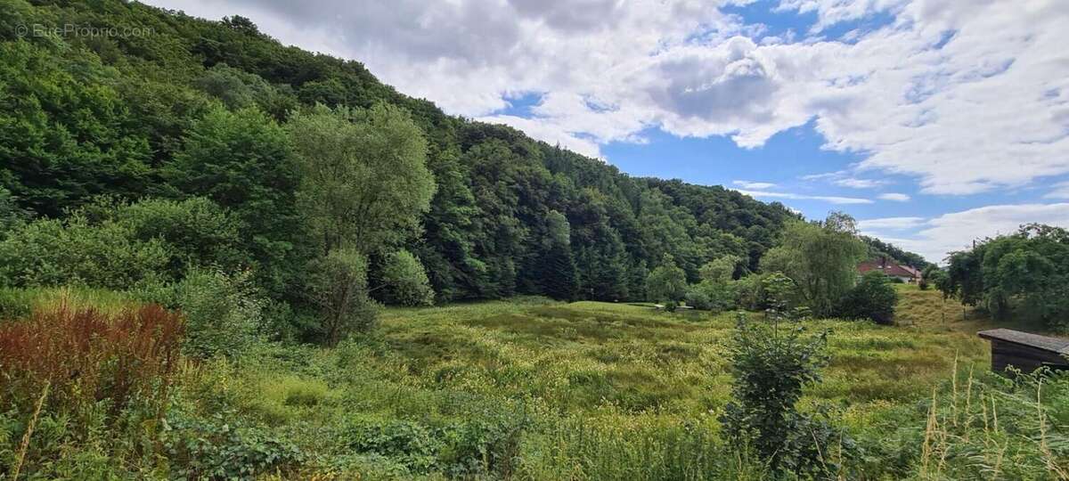 Terrain à ROUGEGOUTTE