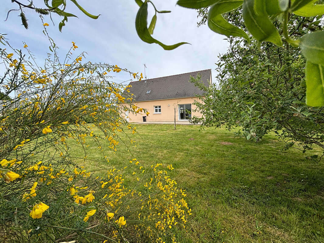 Pavillon plain pied - photo 6