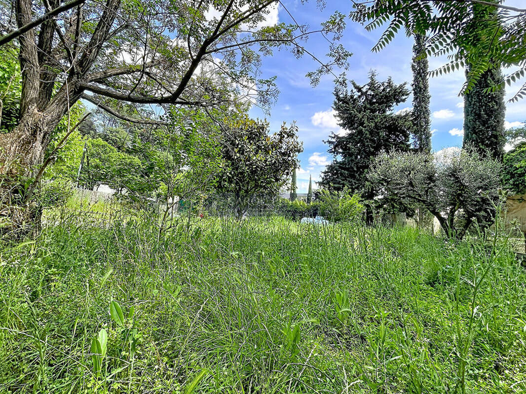 Terrain à BEAUMES-DE-VENISE