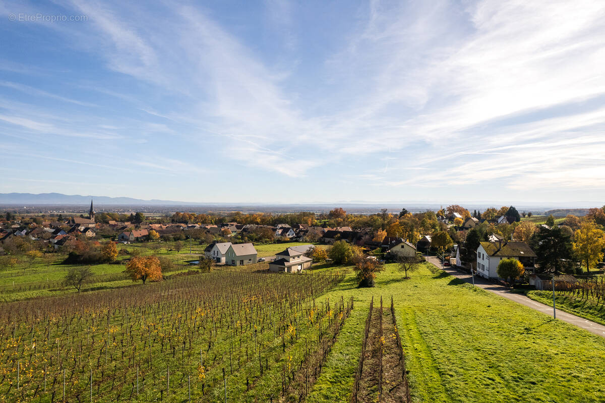Terrain à WUENHEIM
