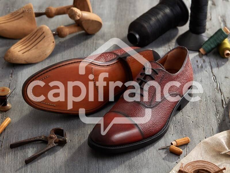 Commerce à LA ROCHE-SUR-YON