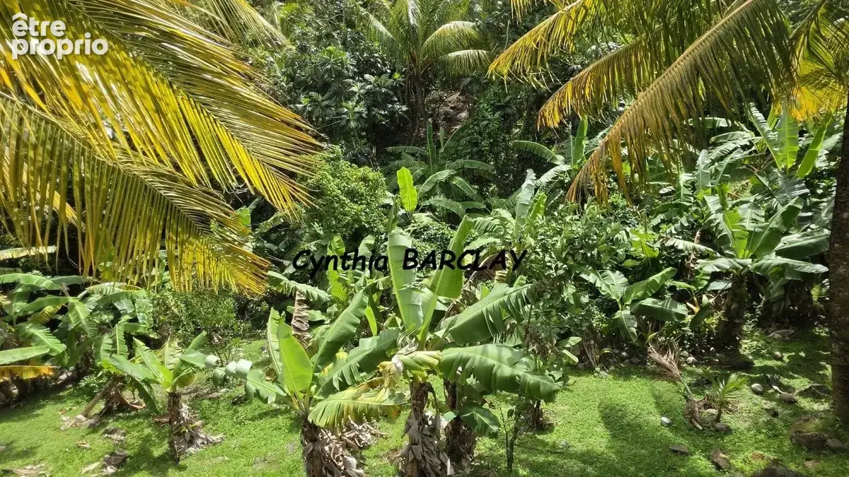 Maison 3 pièces 65 m² à vendre à Le Marin (97290) - photo 7
