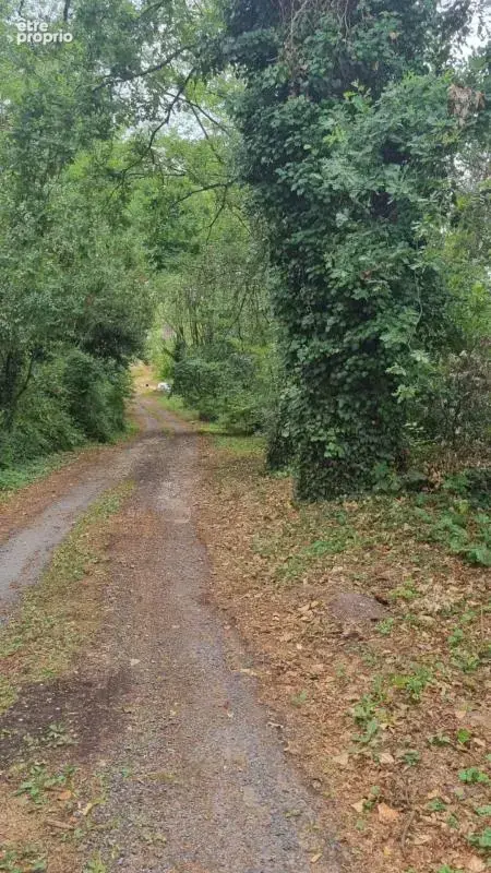 Brive la gaillarde - Proche centre ville - Terrain Constructible - photo 7