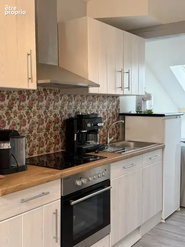 Grande et belle maison bourgeoise entièrement rénovée avec piscine et jardin clôturé - photo 19