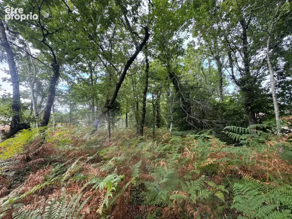 Terrain 2019 m² à Grayan-Et-L'hopital  - photo 2