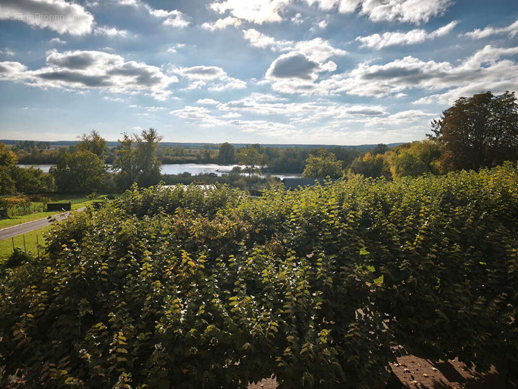 Commerce à POUILLY-SUR-LOIRE