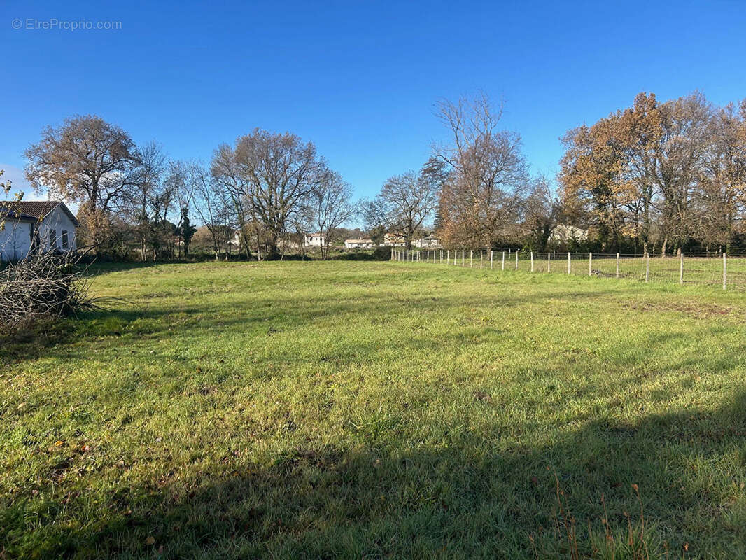 Terrain à SAINT-SULPICE-ET-CAMEYRAC