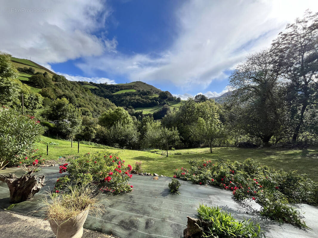 Photo 1 - Maison à ARNEGUY