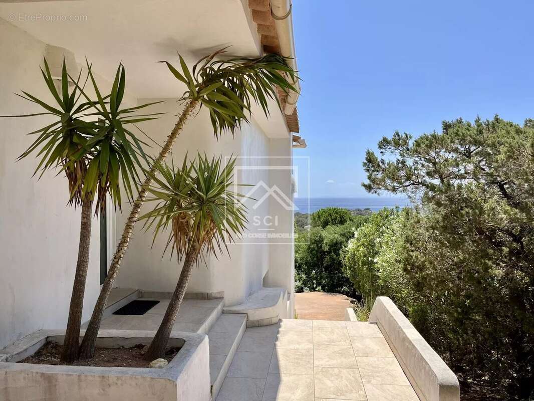 Maison à PORTO-VECCHIO