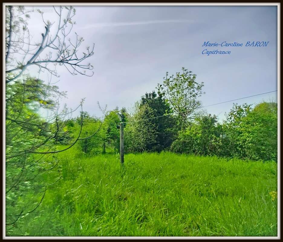 Maison à vendre 3 pièces VENDOEUVRES (36) - photo 9