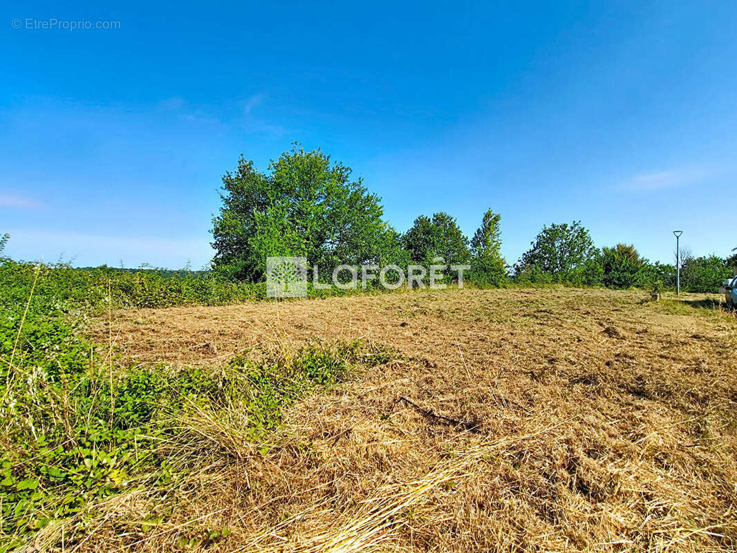 Terrain à MONCLAR-DE-QUERCY