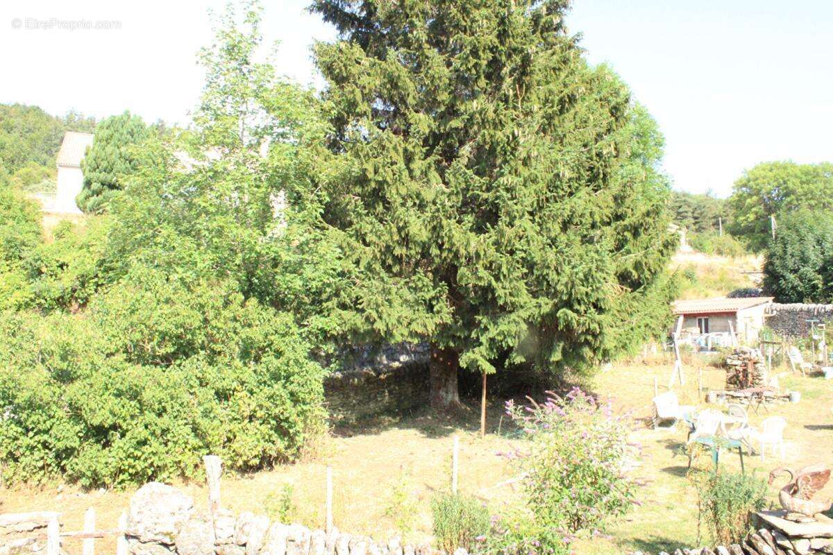 Exclusivité Maison Luc 5 pièce(s) 143 m2 avec jardin sur le chemin de Robert Louis Stevenson - photo 11