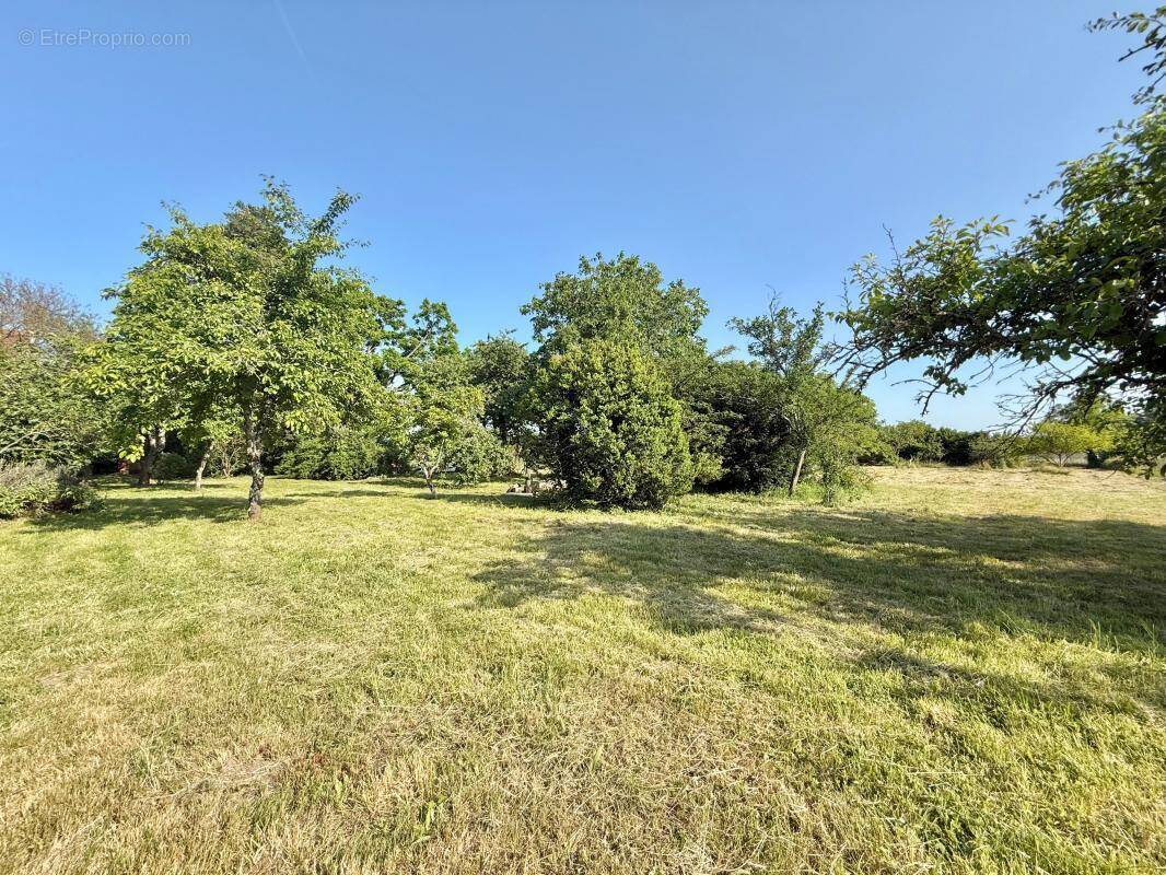 Maison à PONTAILLER-SUR-SAONE