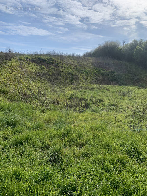 Terrain à MONTOIRE-SUR-LE-LOIR