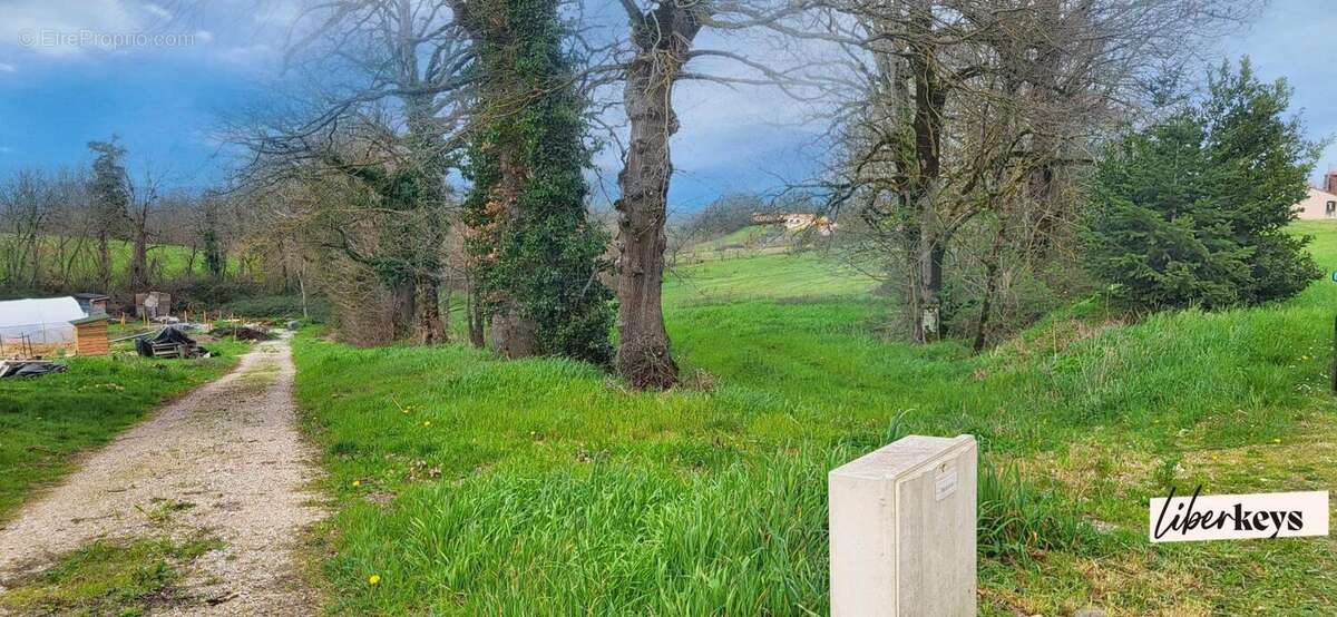 Terrain à MONTFA